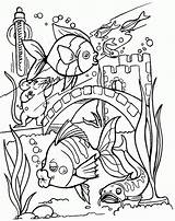 Coloring Fish Pages Tropical Tank Aquarium Printable Drawing Adult Sheets Realistic Adults Detailed Colouring Clipart Water Book Kids Sports Kid sketch template