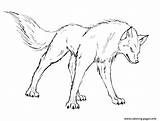 Wolf Coloring Pages Grey Printable Getcolorings Color Print sketch template