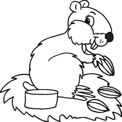 coloring pages animals   cool funny