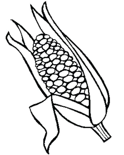 corn    coloring page  getdrawings