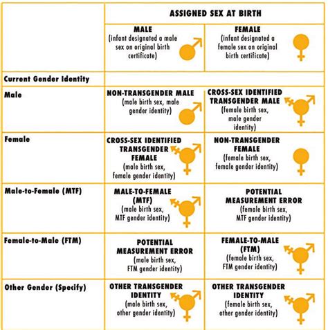 Visual Explanation Of Terminology For Gender Identities Download