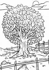 Tree Coloring Summer Colouring Pages Leafy sketch template