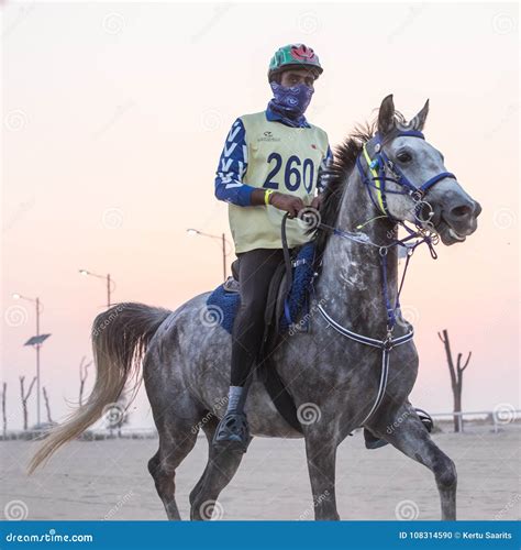 rider competing   desert endurance race editorial image image  dusk arabian