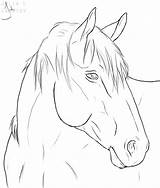 Horse Drawing Coloring Pages Drawings Head Animal Pencil Line Sketches sketch template