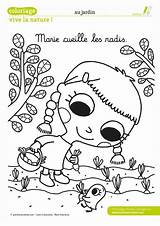 Maternelle Activités Cueille Radis Carnet Journée Ma Colorier sketch template