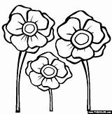 Poppy Colouring Template Poppies Coloring Printable Pages Remembrance Flower Anzac Drawing Templates Color Online Thecolor Kids Clip Clipart Them Others sketch template