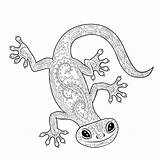 Gecko Nello Geco Coloritura Modellato sketch template