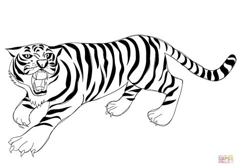 tiger outlinecoloring page clipart