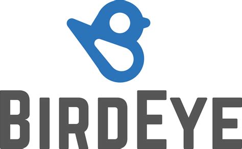 birdeye reviews techvion
