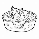 Basket Pillow Cat Coloring Book Illustration Preview sketch template