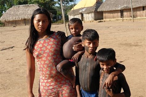 reports on empower indigenous brazilians to save their amazon