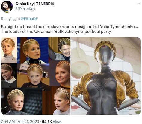 straight up based the sex slave robots design off of yulia tymoshenko