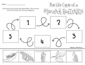 monarch butterfly life cycle cutpaste  beached bum teacher tpt