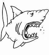 Shark Coloring Pages Kids Sharks Drawing Jaws Template Great Printable Color Funny Print Outline Fin Hungry Children Cartoon Hammerhead Clipart sketch template