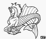 Hippocampus Mythological Coloring Pages Beings Being Pegasus Gif Horse Sphinx sketch template