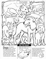 Coloring Dogs Peta Sheet sketch template