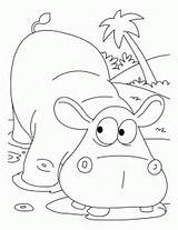 Hippo Coloring Pages Cartoon Hippopotamus Colouringpage Kids Color Hippos Printable Colouring Popular Library Clipart Coloringhome sketch template