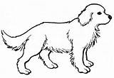 Mewarnai Anjing Lucu Binatang Sketsa Imut Belajar sketch template