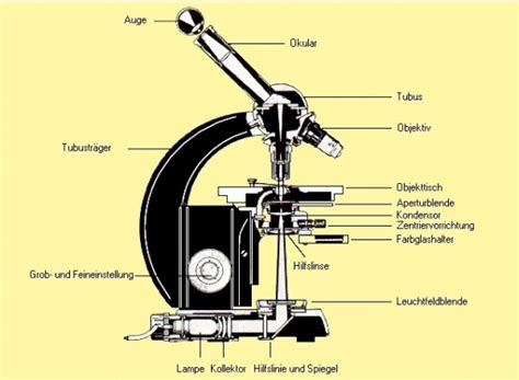 mikroskop optik aus dem lexikon wissende