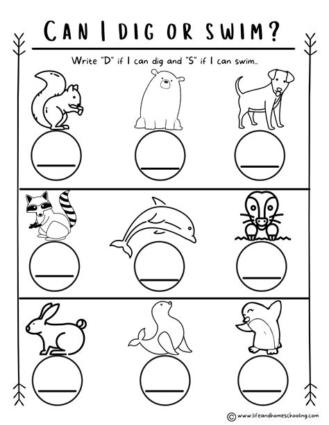 preschool kindergarten animal worksheets   teachers