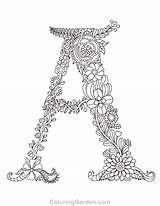 Letter Coloring Pages Adult Floral Printable Alphabet Letters Coloringgarden Feather Colouring Adults Flower Sheets Color Books Print Book Pointillism Getcolorings sketch template