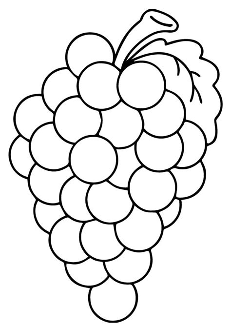 bunch  grapes coloring page  printable coloring pages  kids