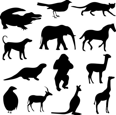 animal silhouette png tarsha barrios