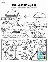 Water Kindergarten Science Cycle Kids Coloring Colouring Worksheet Worksheets Pages Activities Kinder Save Resources Teaching Fun Prep Packet May Other sketch template