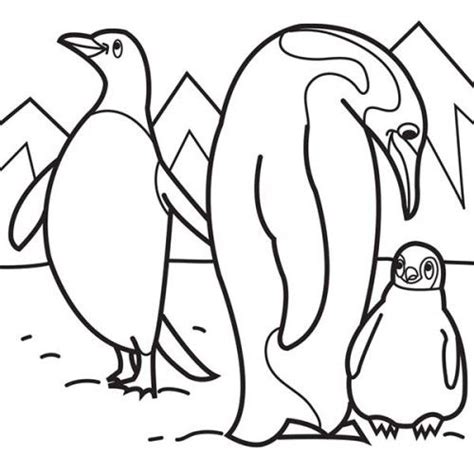 arctic animals coloring pages ststephenuabcom pinterest arctic