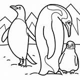 Coloring Penguin Pages Penguins Arctic Animals Kids Animal Printable Color Emperor Baby Polar Sheets Print Family Cute Colouring Their Preschool sketch template