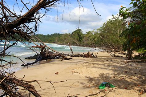 Finding Freedom Three Picture Perfect Beaches In Bocas