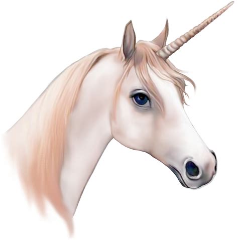 realistic unicorn head hasshecom