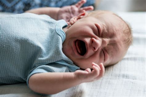 babies shouldnt  left  cry   research