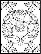 Pheemcfaddell Partridge Pear Kleurplaten sketch template