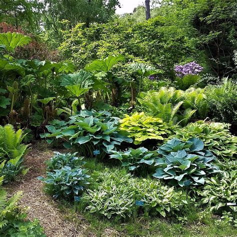 parc floral de paris