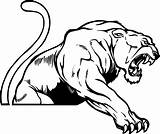 Panther Outline Drawing Paw Clip sketch template