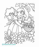 Coloring Girl Flowers Picking Pages Flower Kids sketch template