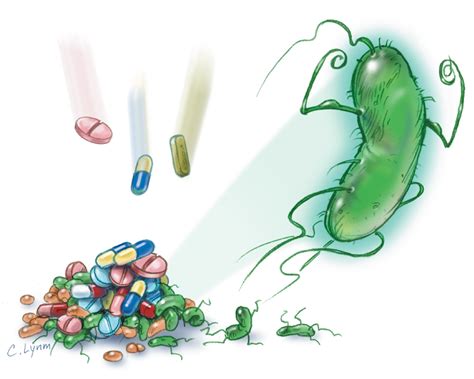 antibiotic resistance infectious diseases jama jama