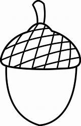 Acorn Drawing Clip Clipart sketch template