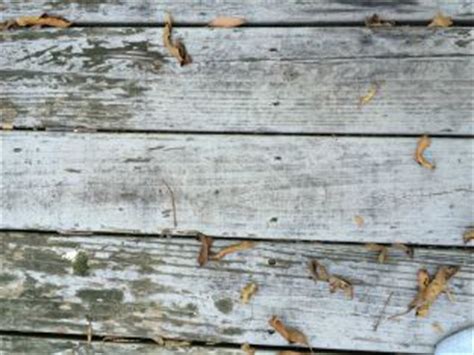 year  deck pressure treated wood paint  stain