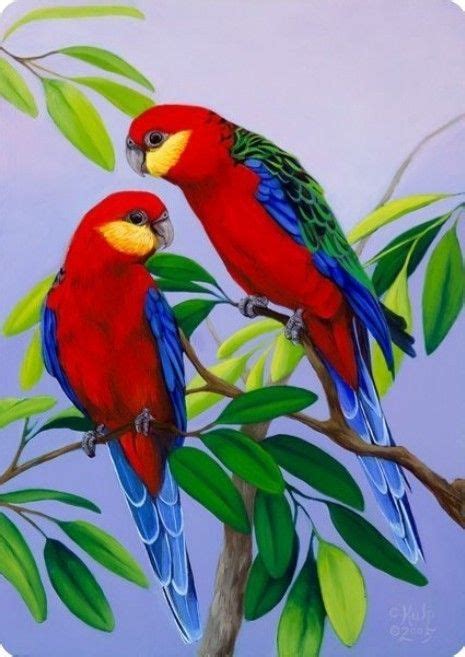 ideas  colorful bird painting draw  images birds