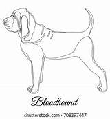 Bloodhound sketch template