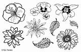 Stamp Designs Rubber Ryn Flowers Unmounted Sheet X8 Um M3 Stamps Emboss Heat Number Part Gkd sketch template