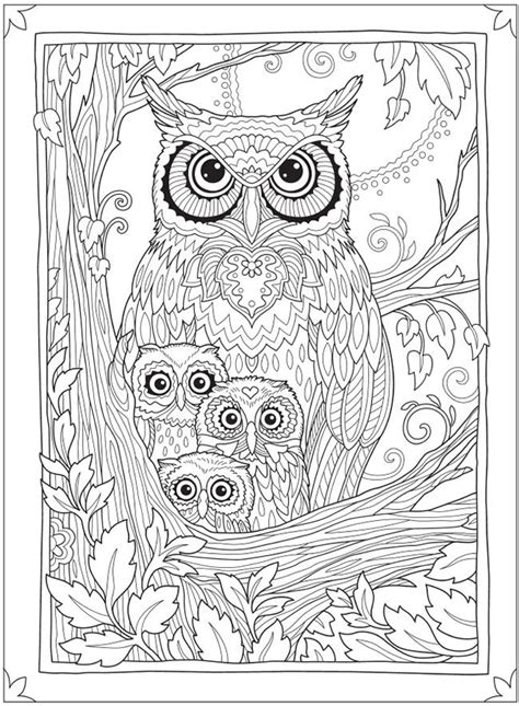 owl coloring pages  adults printable alysia sowers