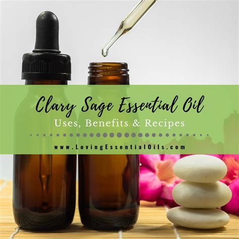 Clary Sage Essential Oil Uses Benefits And Recipes Spotlight