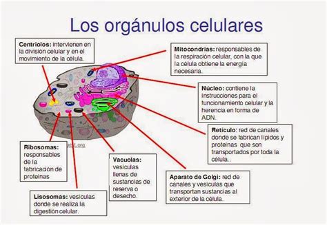 Biologia