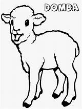 Domba Mewarnai Binatang Hewan Kartun Lucu Mira Sketsa Diwarnai Gbr Terpopuler Anakcemerlang Sekolah Minggu Kunjungi Disimpan Dari sketch template