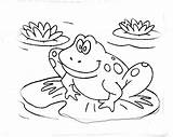 Frogs Frog Tadpole sketch template