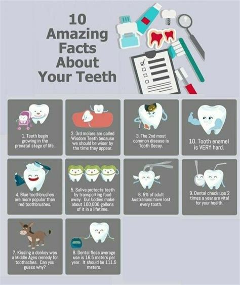 Amazing Facts About Your Teeth Fun Facts Dental Dental Advertising