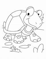 Tortoise Coloring Pages Hare Race Turtle Won Desert Printable Getcolorings Galapagos Getdrawings Kids Popular Colorings Books sketch template